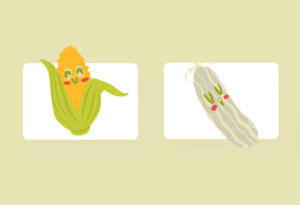 Cute vegetables for your illustration.