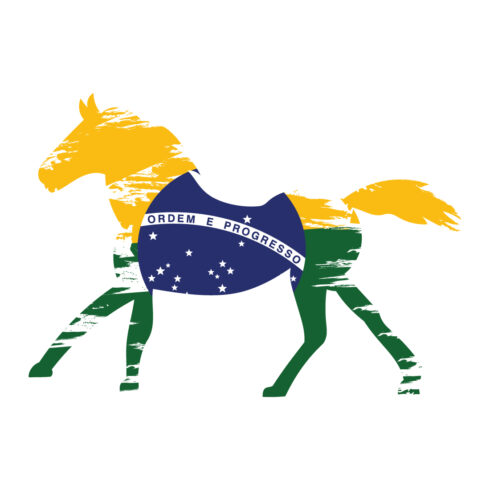 T-shirt Brazilian Flag Design cover image.
