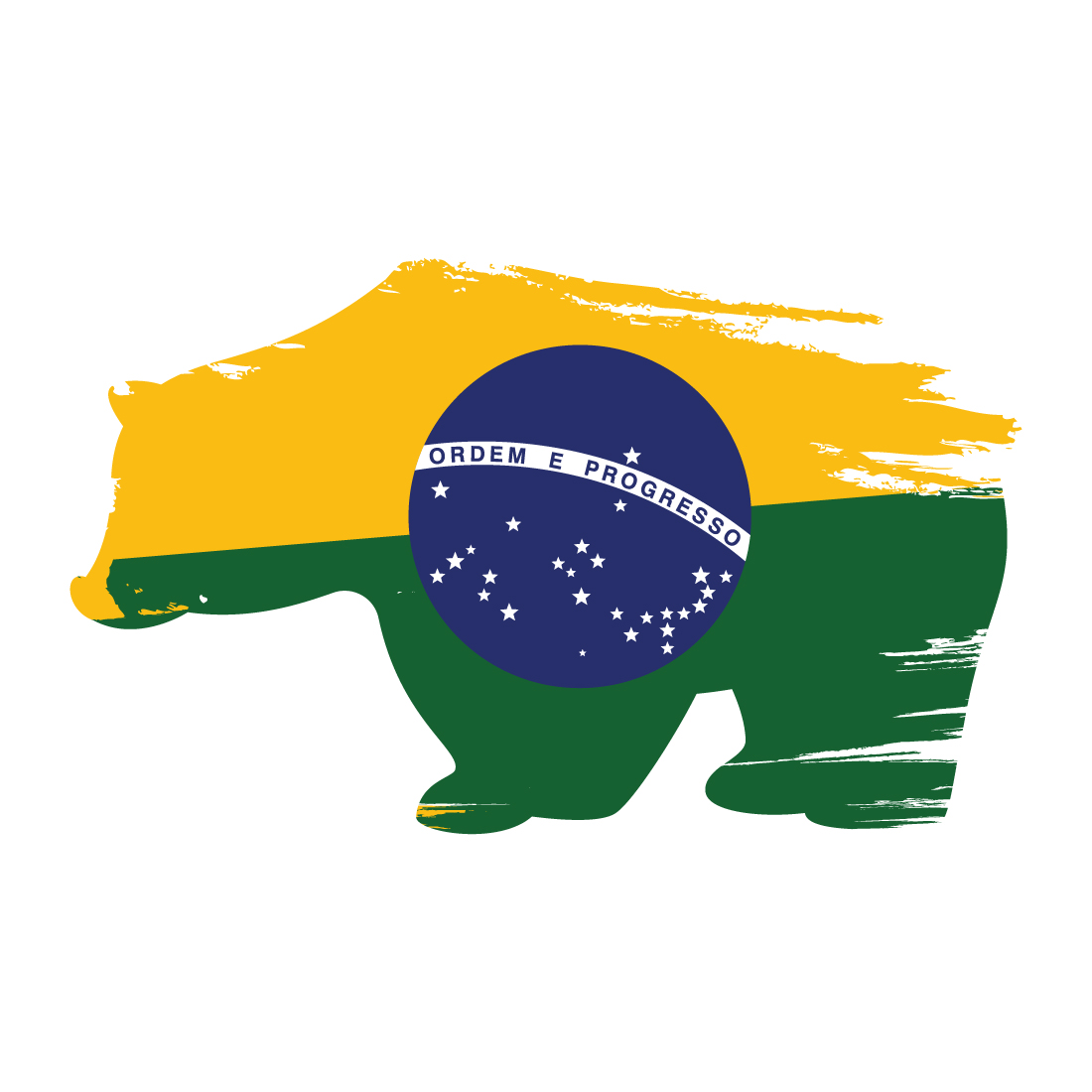 Professional Brazil Flag T-shirt Design cover image.