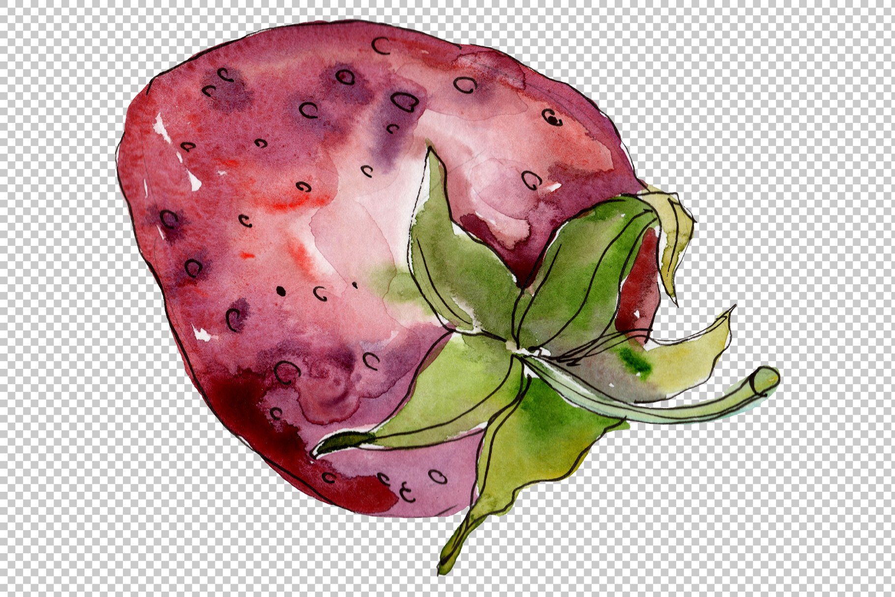 Watercolor old strawberry.