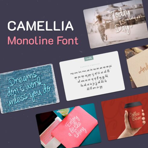 Camellia Monoline Font.