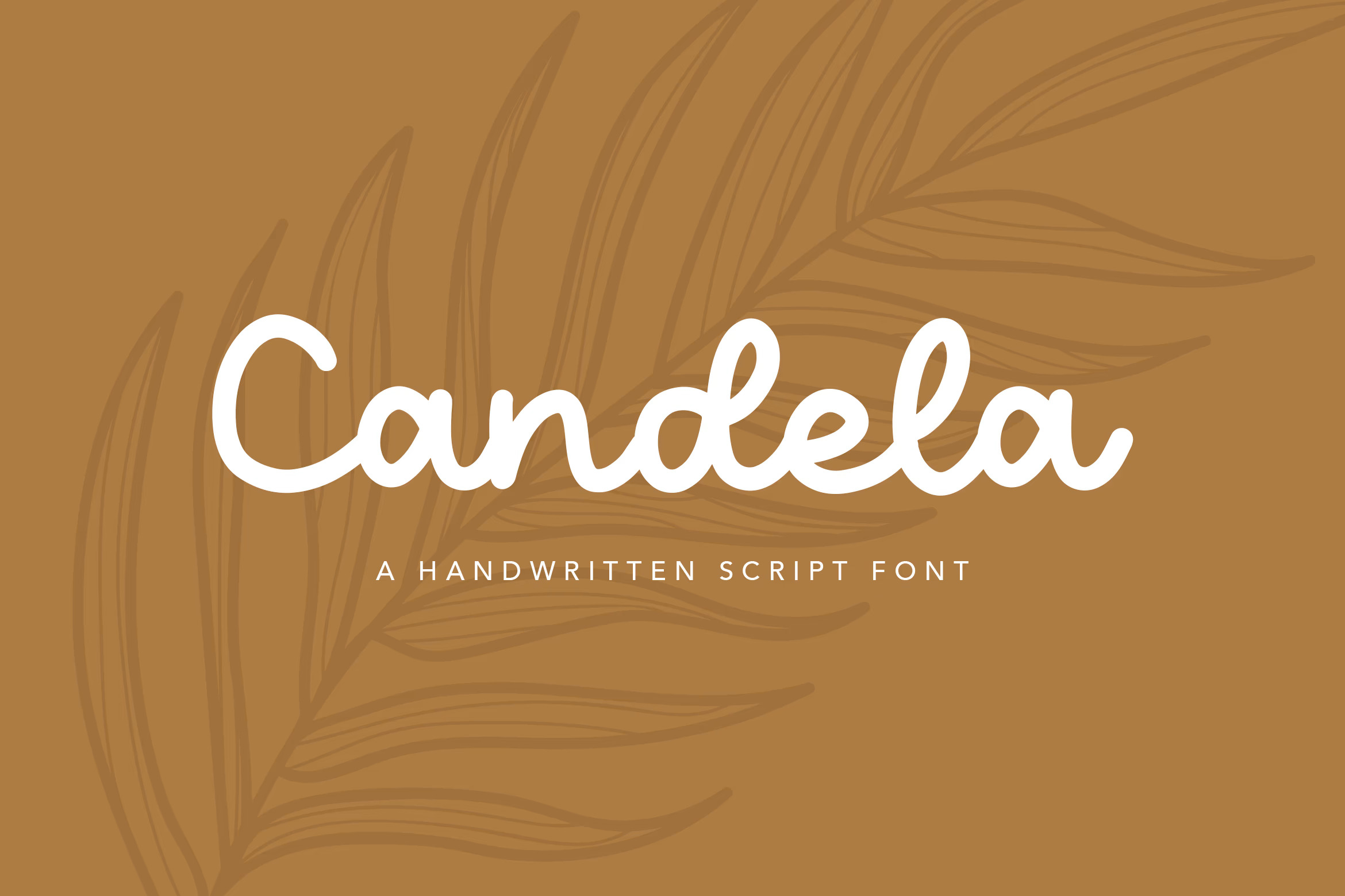 Candela is a nice warm font.