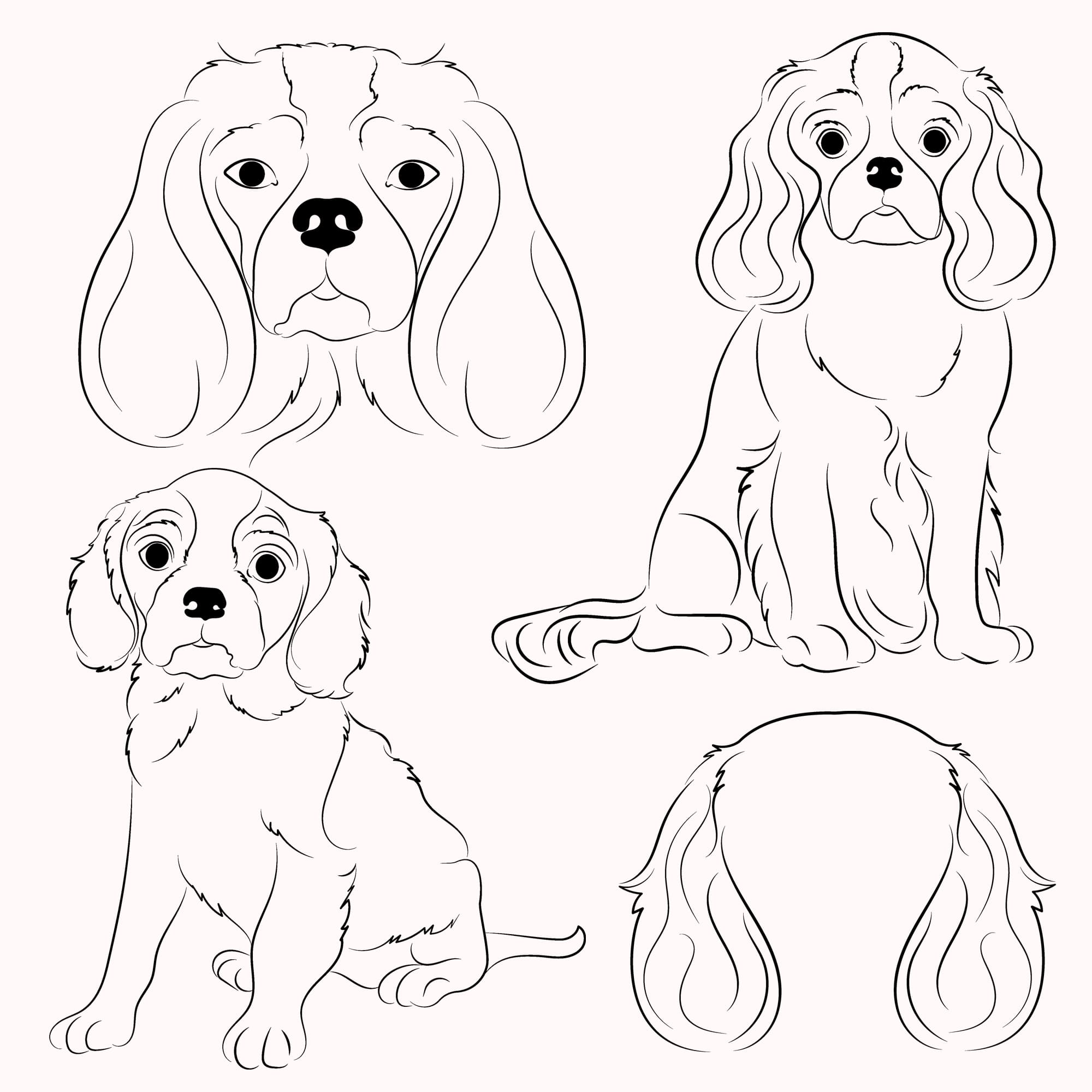 Set of four dogs in different poses.