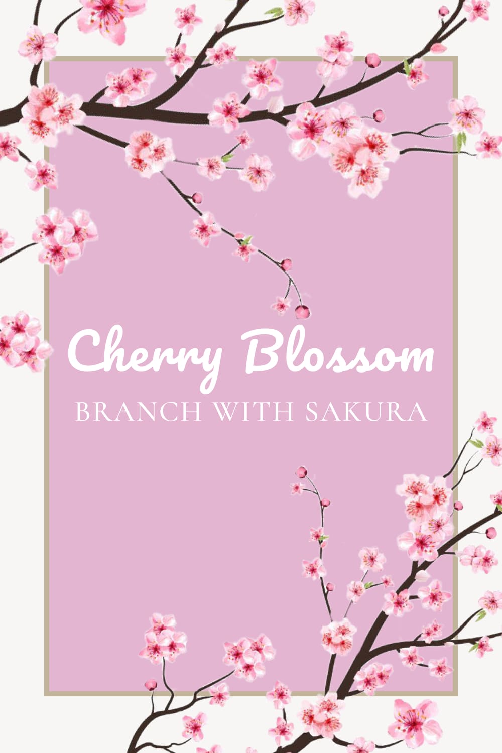 cherry blossom branch with sakura pinterest 962