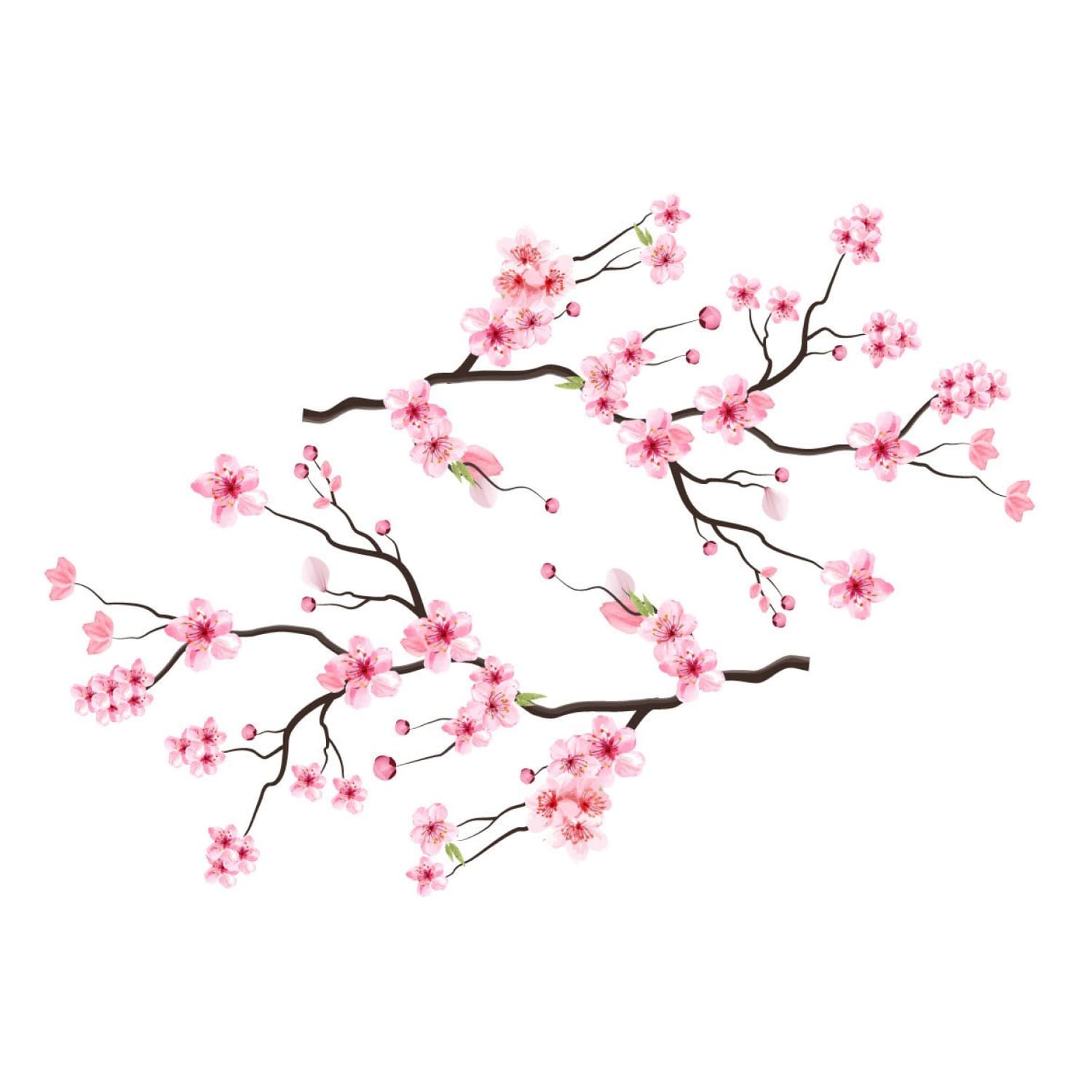 Cherry Blossom Spring Flower Branch cover.