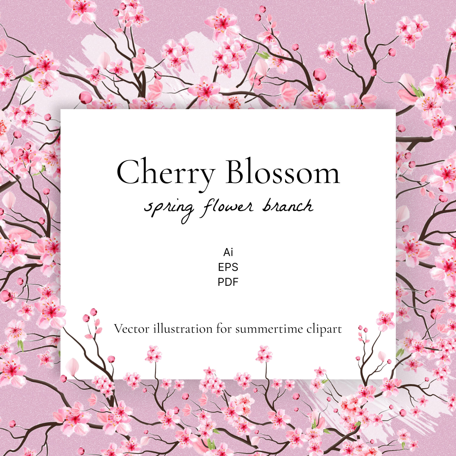 Cherry Blossom Spring Flower Branch.
