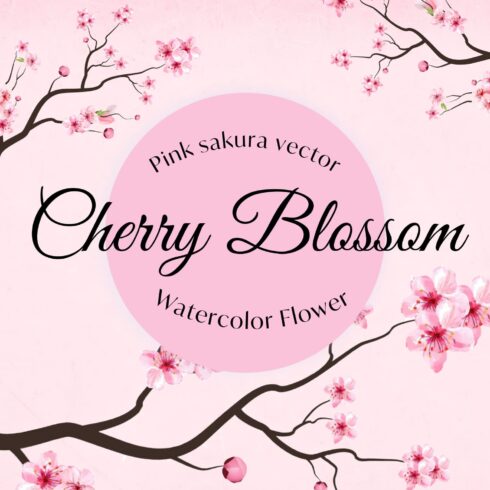 Cherry Blossom Watercolor Flower.