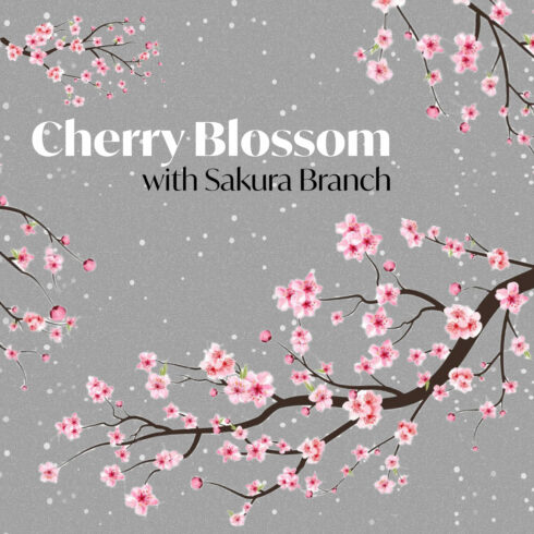 Cherry Blossom with Sakura Branch.