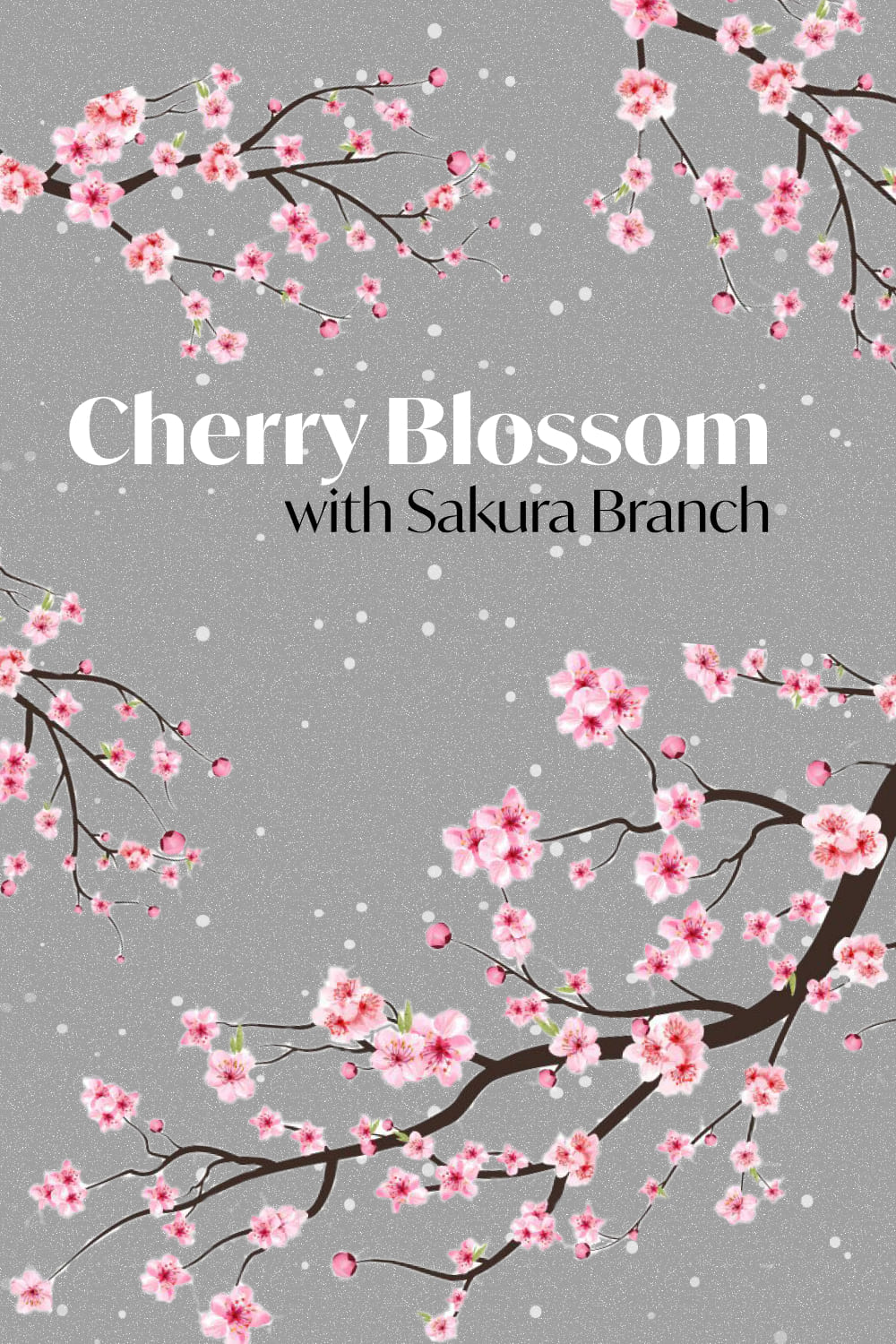 cherry blossom with sakura branch pinterest 656