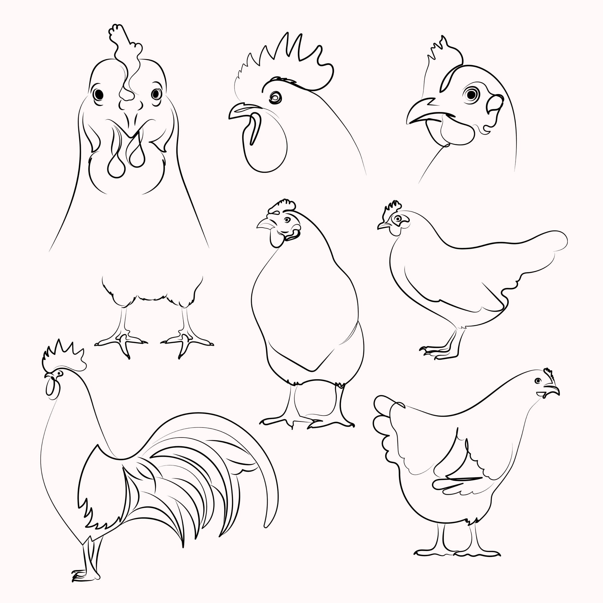 Bunch of chickens that are standing together.