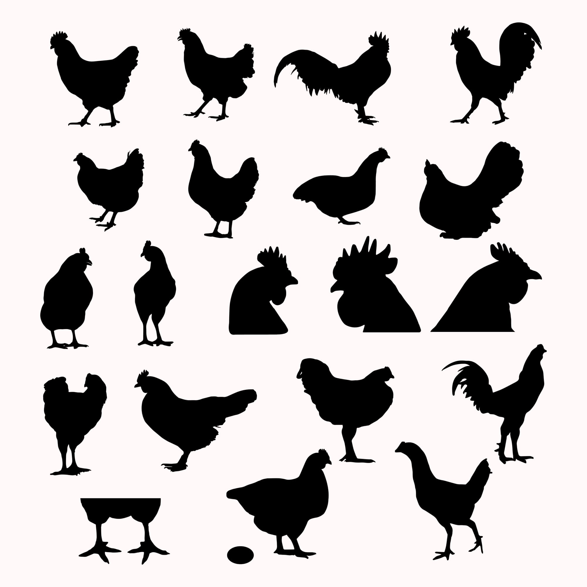 Bunch of chicken silhouettes on a white background.