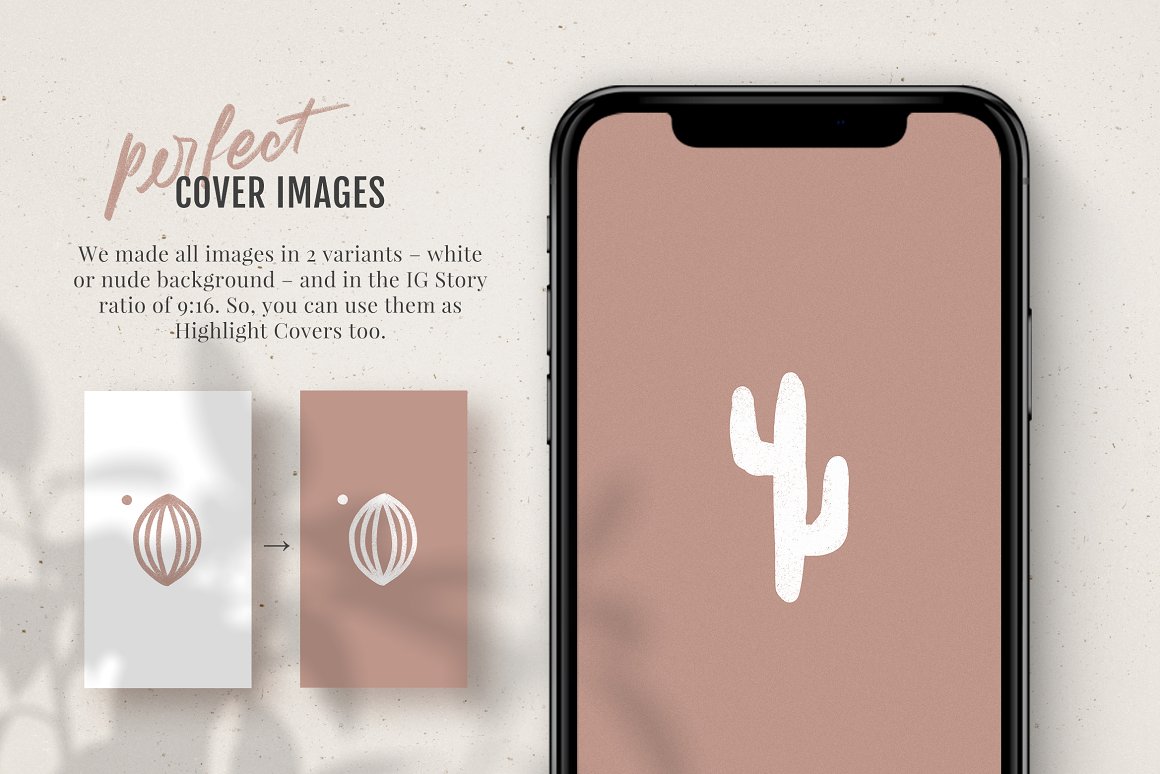 2 highlight cover images in pink and white and iphone mockup with white icon of cactus.