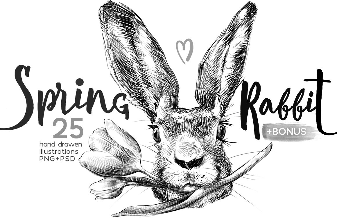 Black lettering "Spring Rabbit" and black-white illustration of easter rabbit with tulip on a white background.