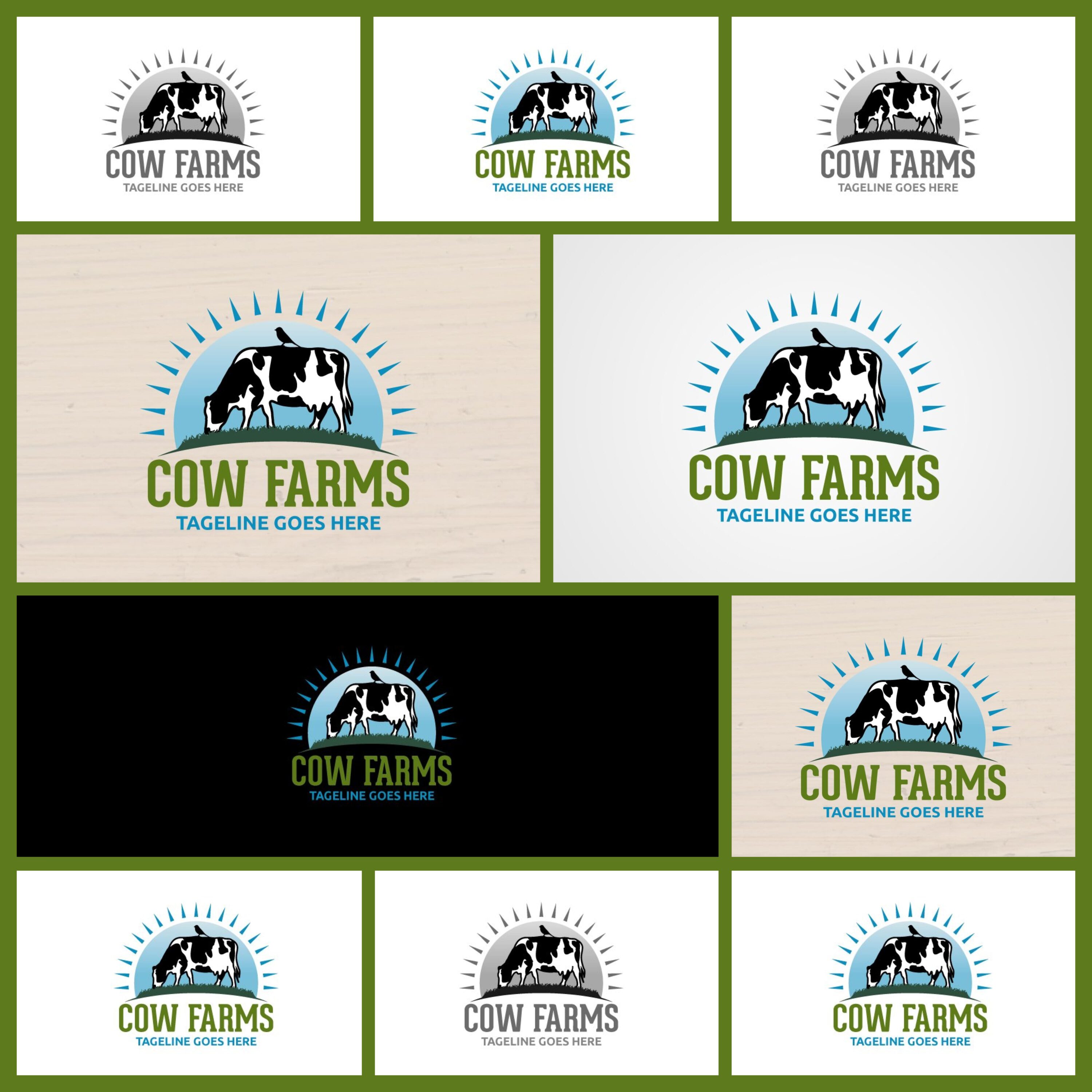 Cow Farms cover.