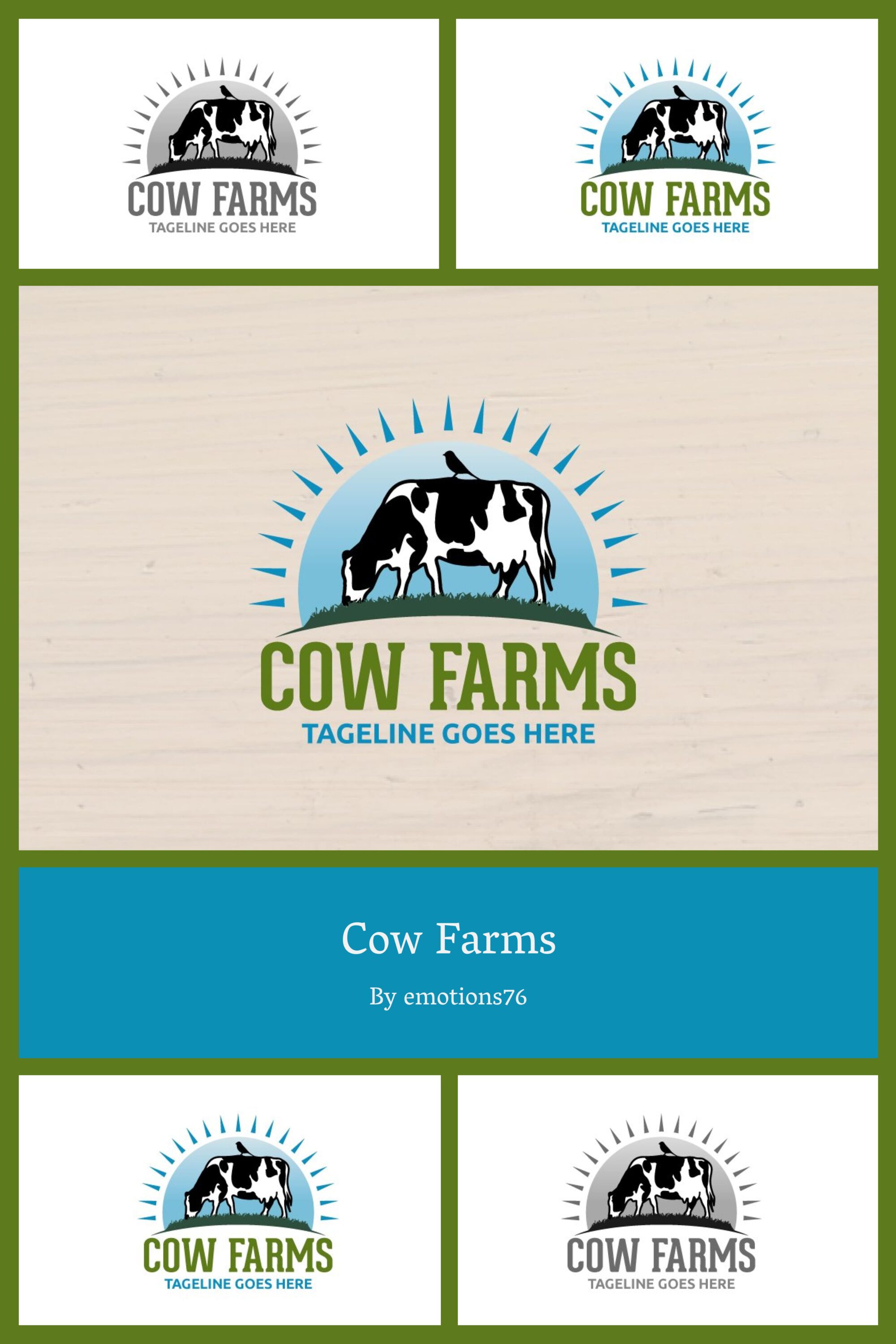 cow farms 03 338