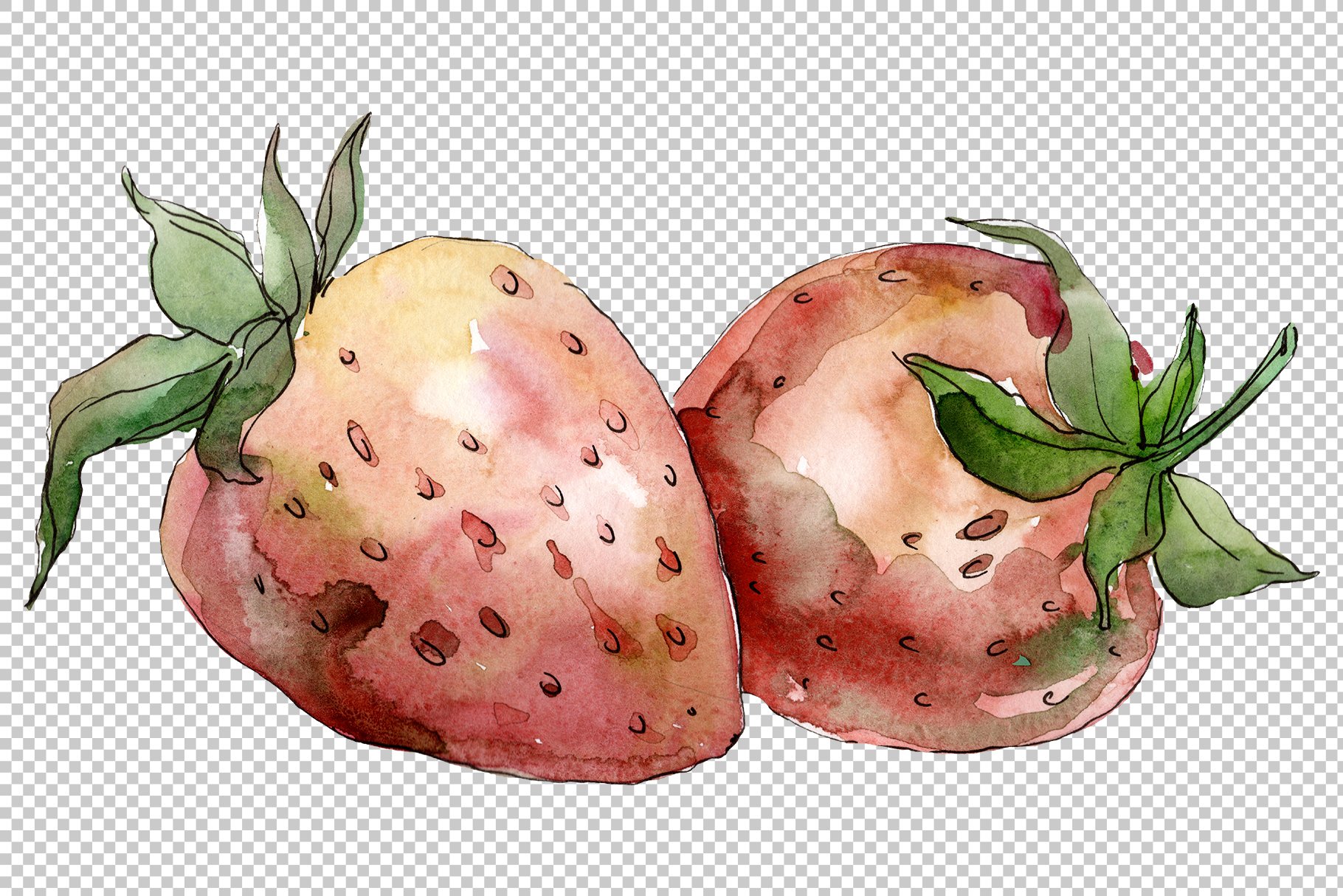 Two old strawberries in a watercolor style.