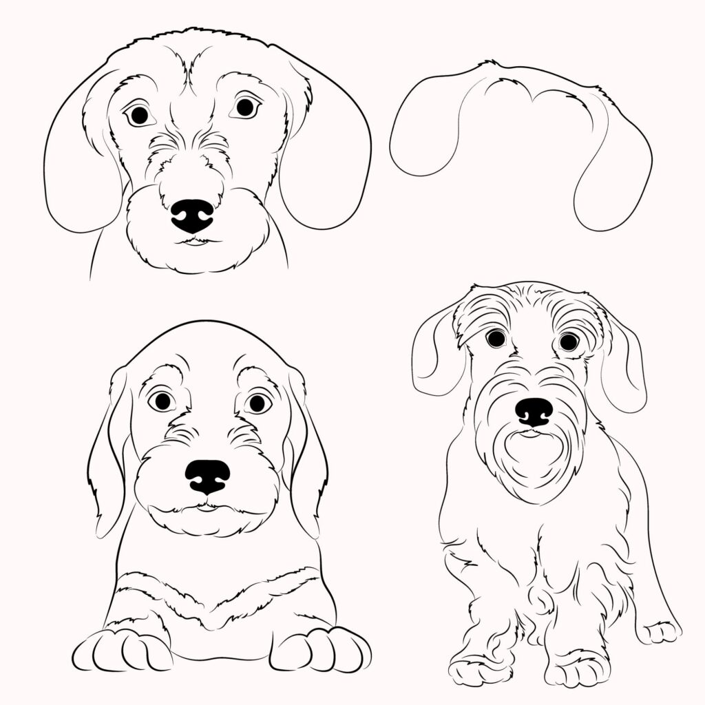 Dachshund SVG Bundle – MasterBundles