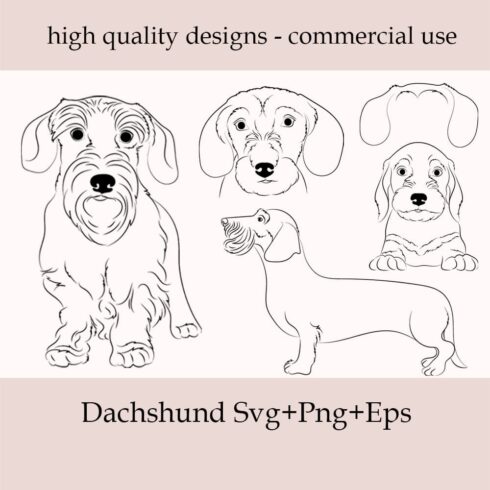 Cover image of Dachshund SVG Bundle.