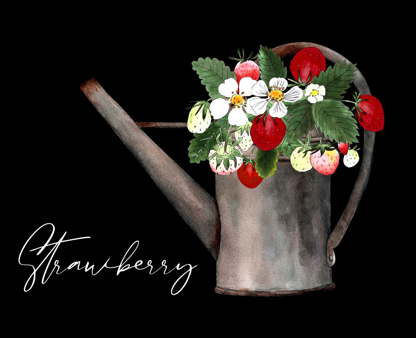 White lettering Strawberry" and illustration of a strawberry in watering can on a black background.
