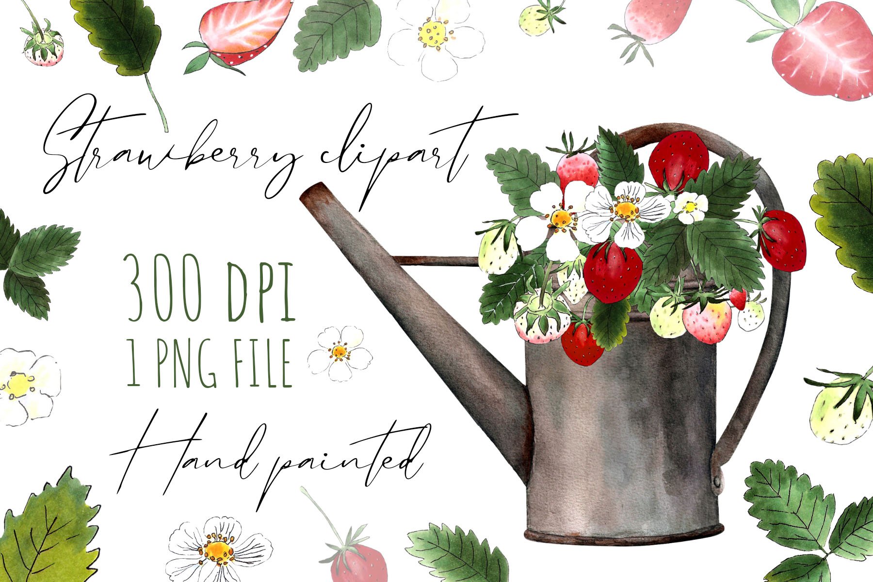 Watercolor illustration of a strawberry in watering can and black lettering "Strawberry clipart Hand painted".