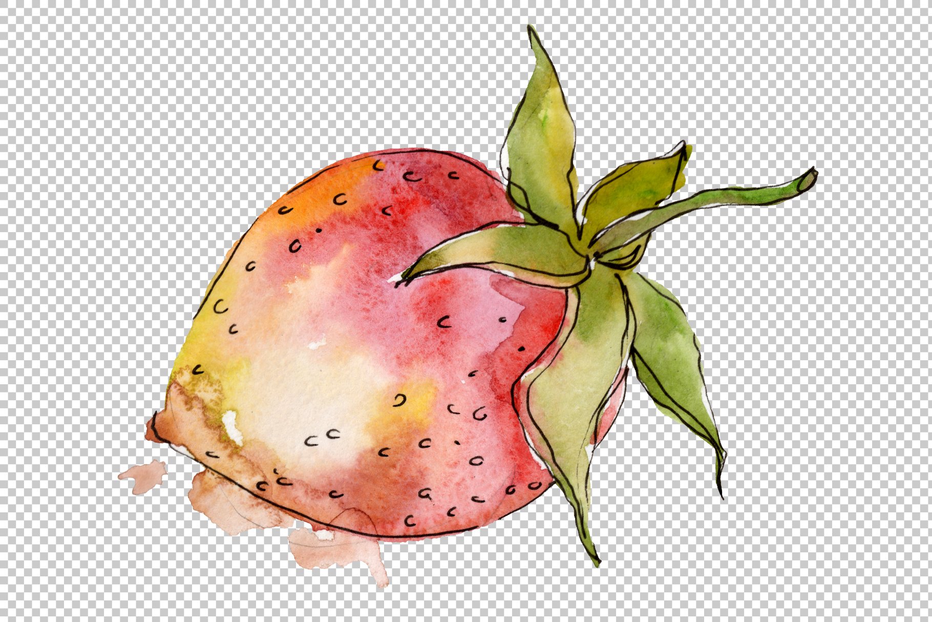 Watercolor old strawberry.
