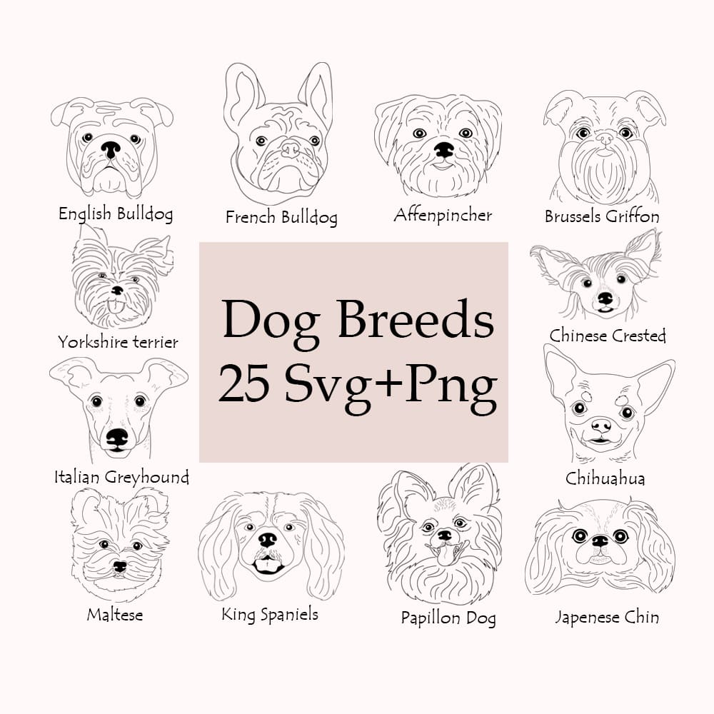 Dog breeds poster with the names of their dogs.