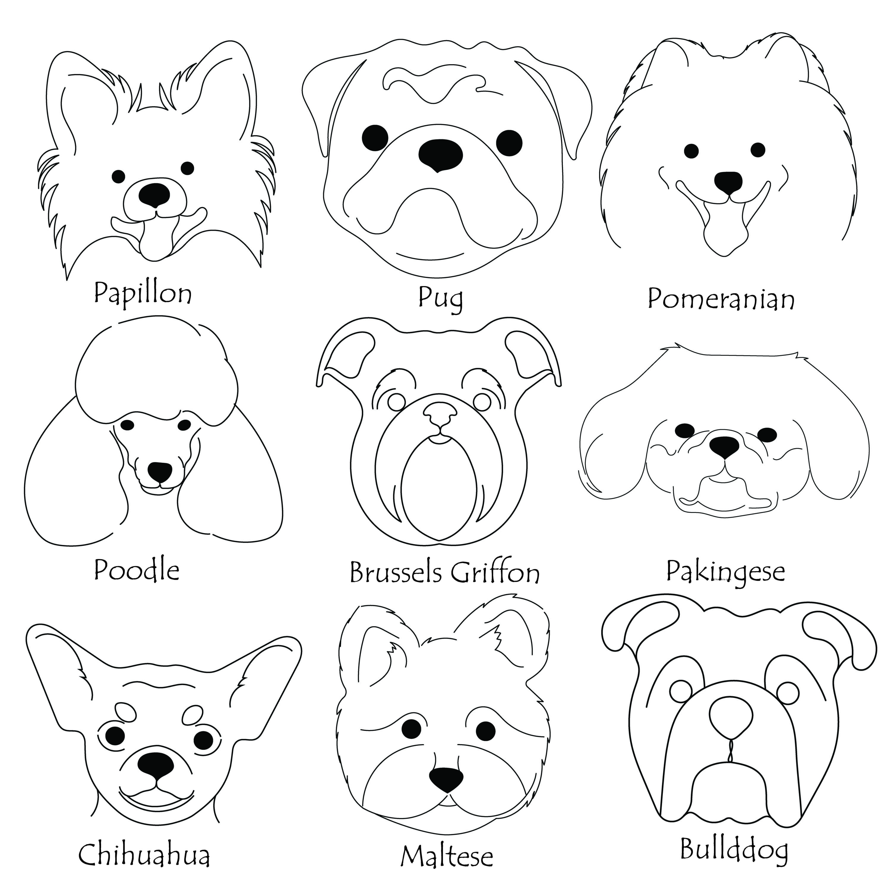 Set of animal faces with the names of them.