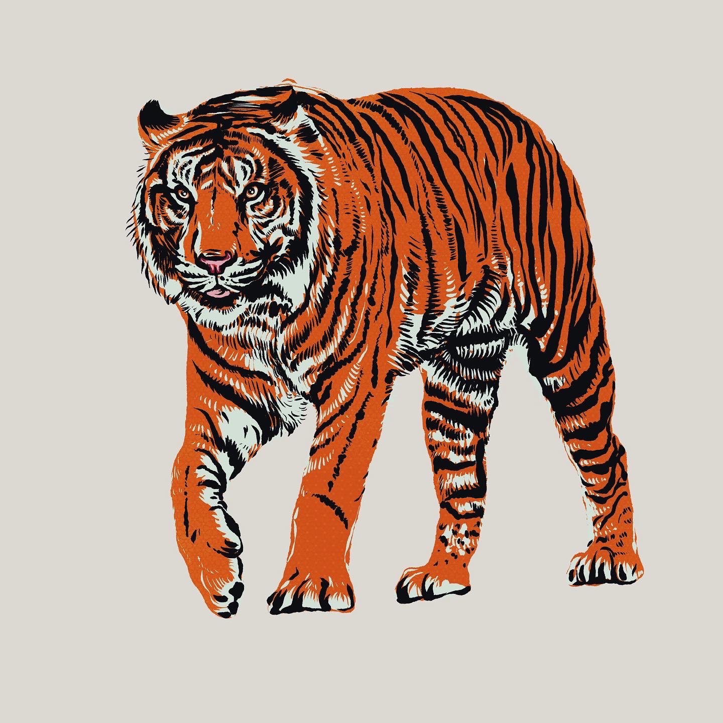 Gorgeous tiger painted with Quill & Ink brushes.