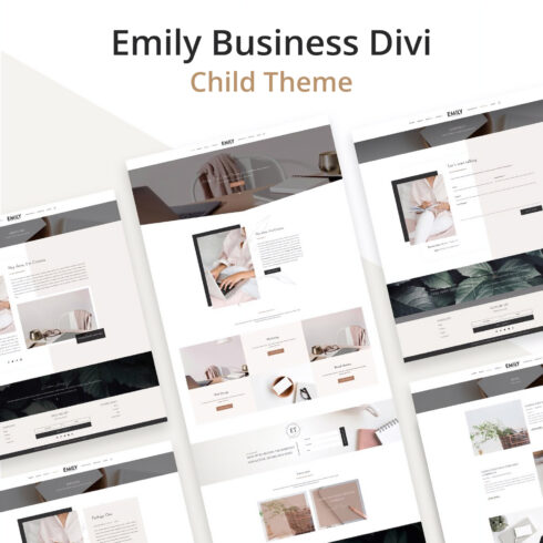 Emily Business Divi Child Theme.