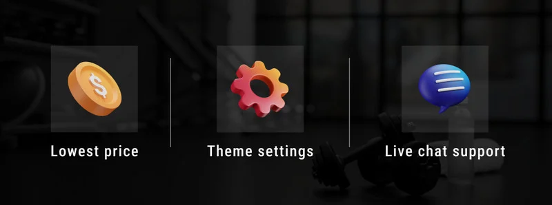 A set of 3 different icons in orange, blue and pink with letterings "Lowest price", "Theme settings" and "Live chat support" on a black background.