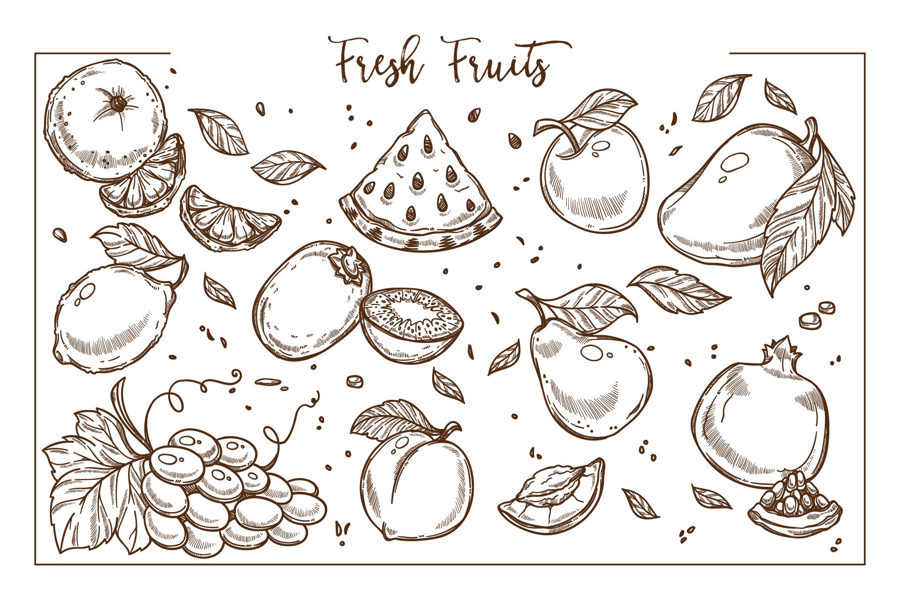 Some summer fruits in a sketch style.