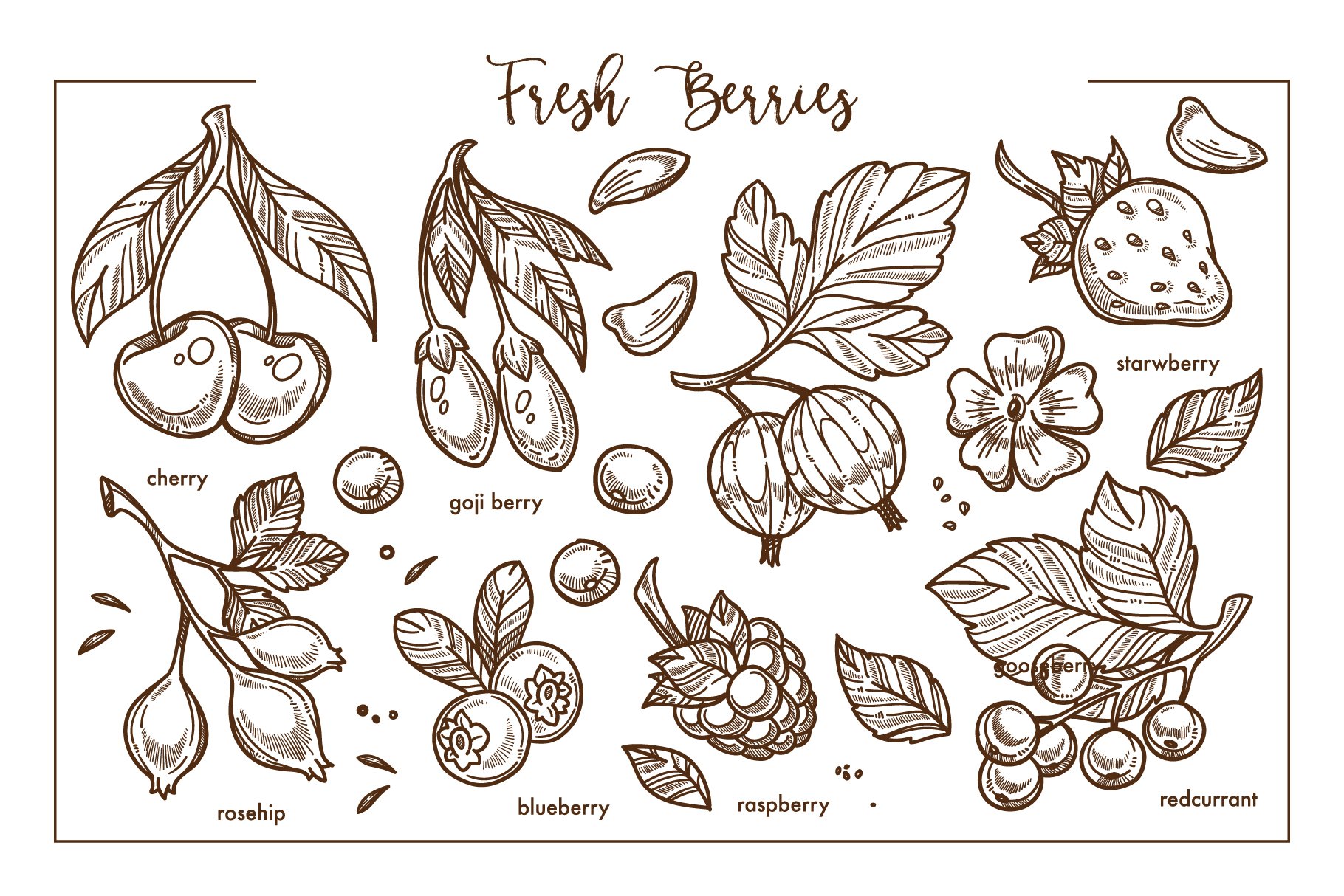 Floral berries in a sketch style.