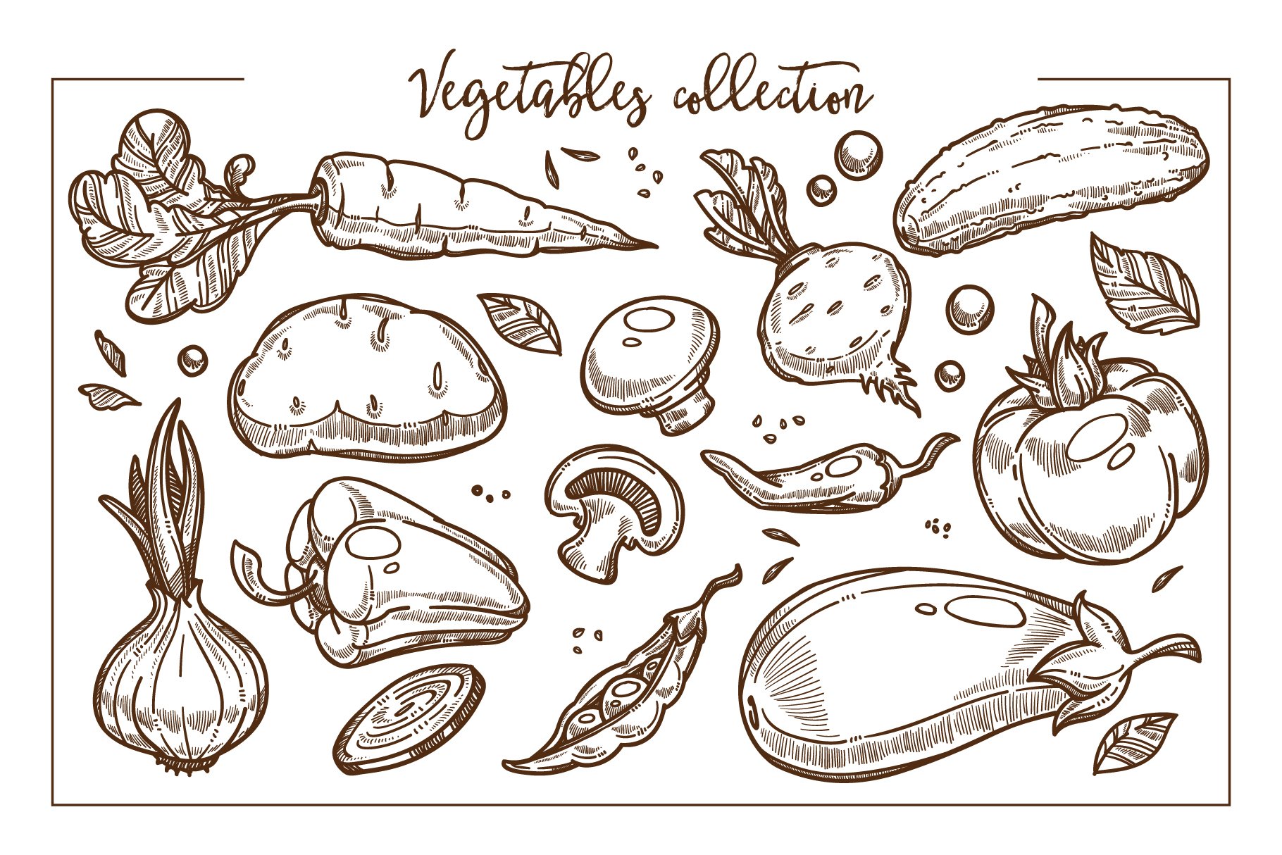 Vegetables in a sketch style.