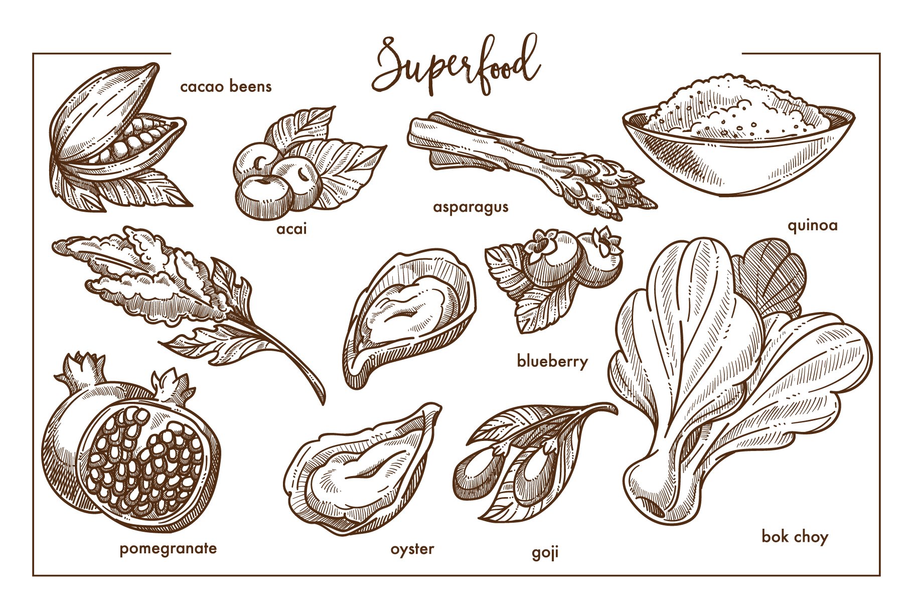 Superfood in a sketch style.