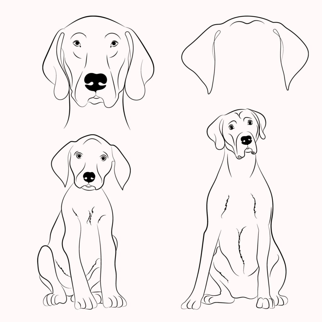German Shorthaired Pointer SVG – MasterBundles