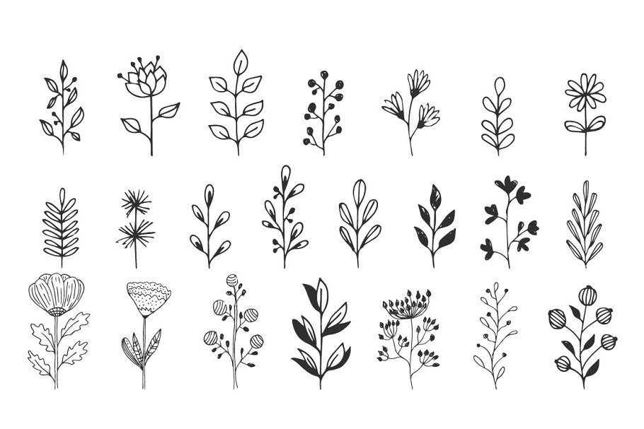 Outlined herb flowers in minimalistic style.