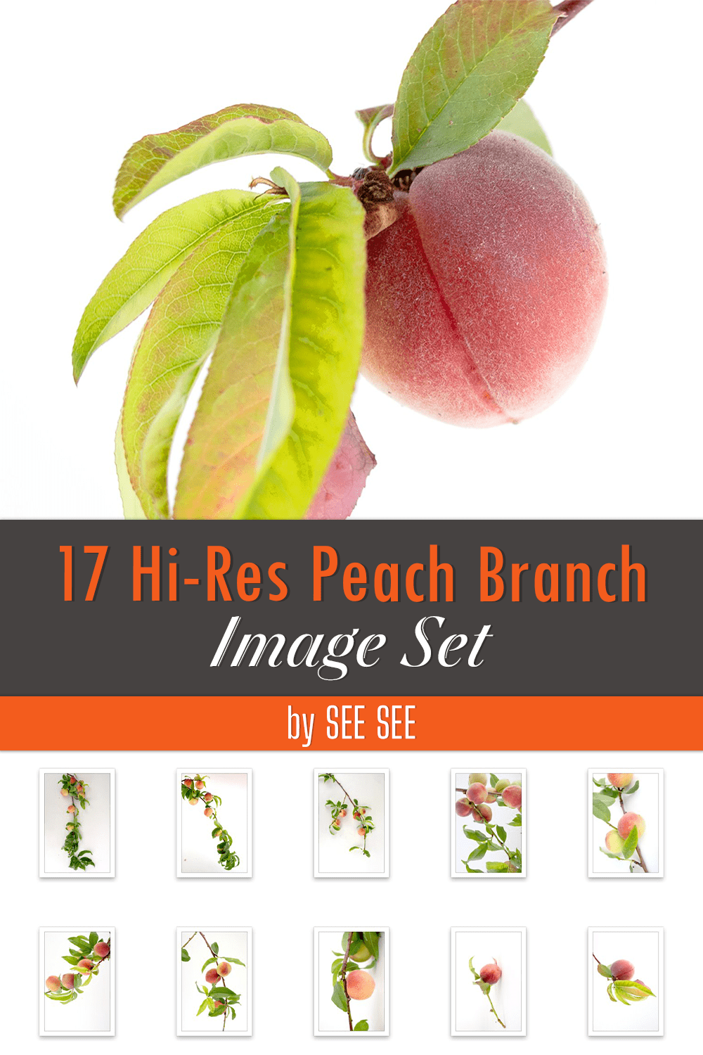 17 Hi-Res Peach Branch Image Set - pinterest image preview.