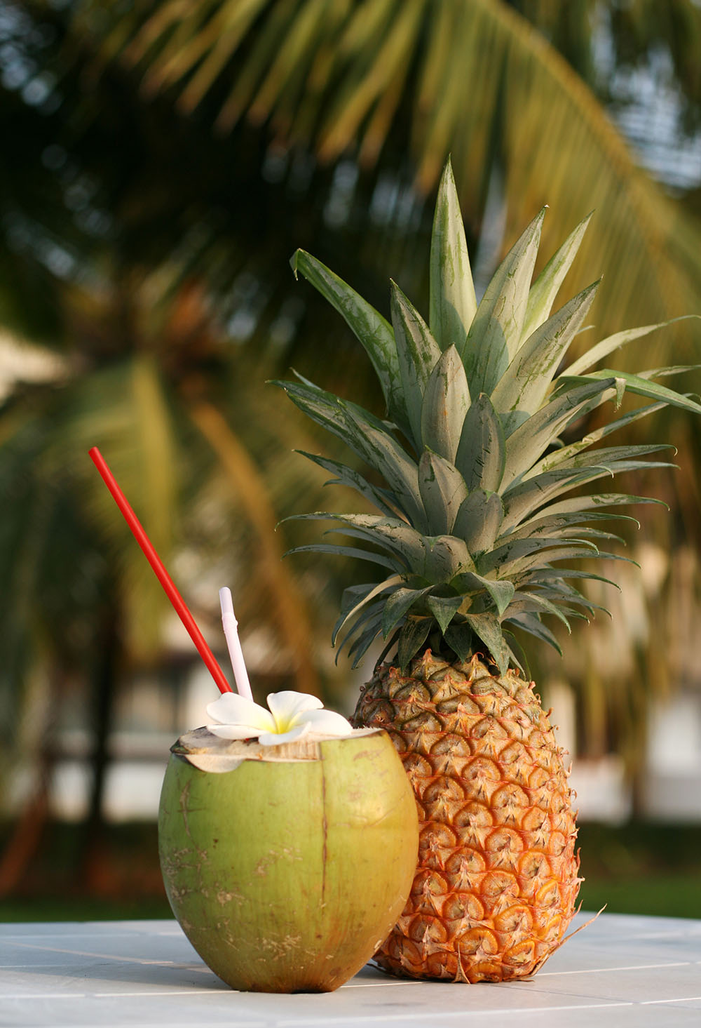 Tropical Set Photos with pineapple and coconut.