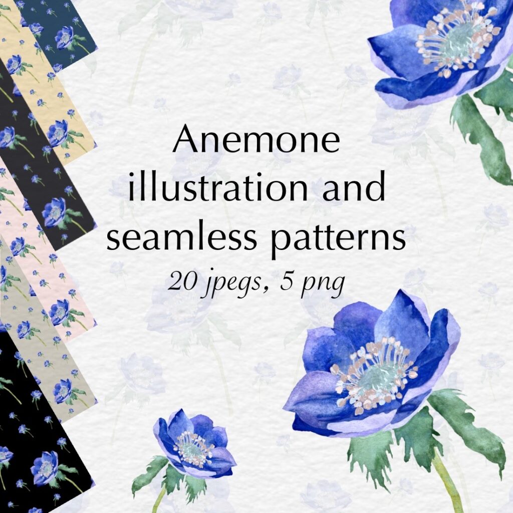 Anemone flower illustration and seamless patterns - MasterBundles