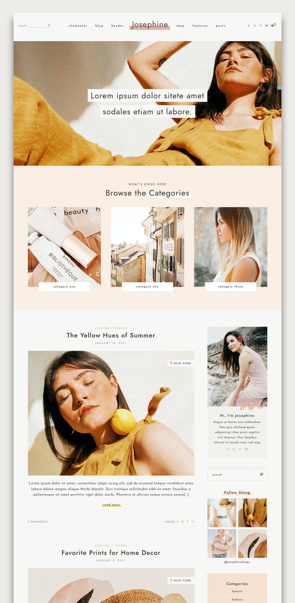 An example of web site of of josephine feminine WordPress theme.