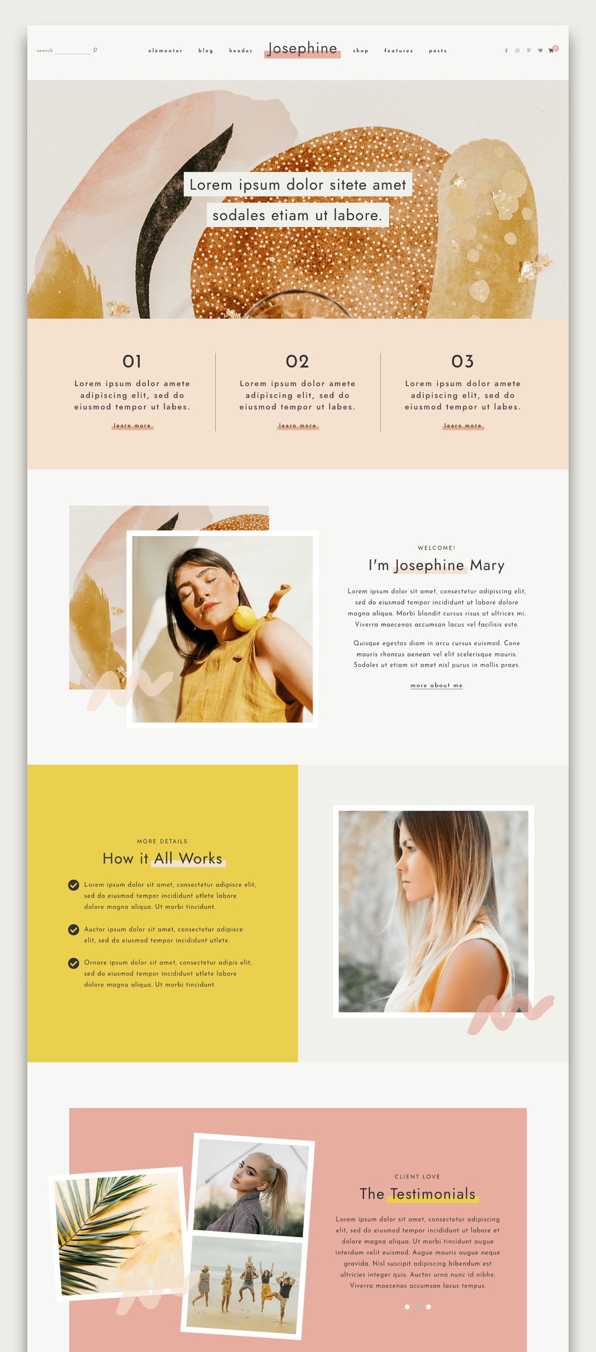 A set of different pages of josephine feminine WordPress theme.