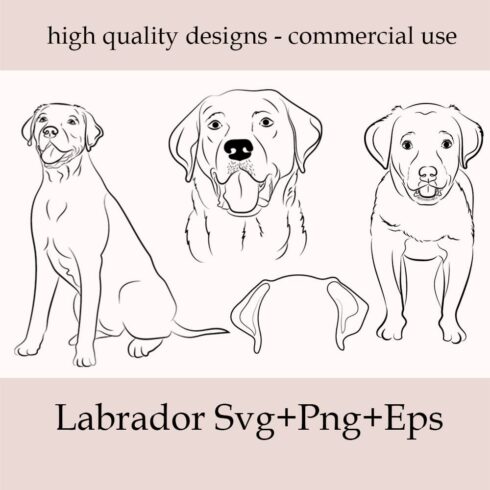 Labrador illustrations set.