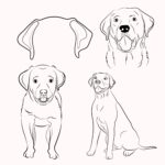 Labrador Retreiver SVG – MasterBundles