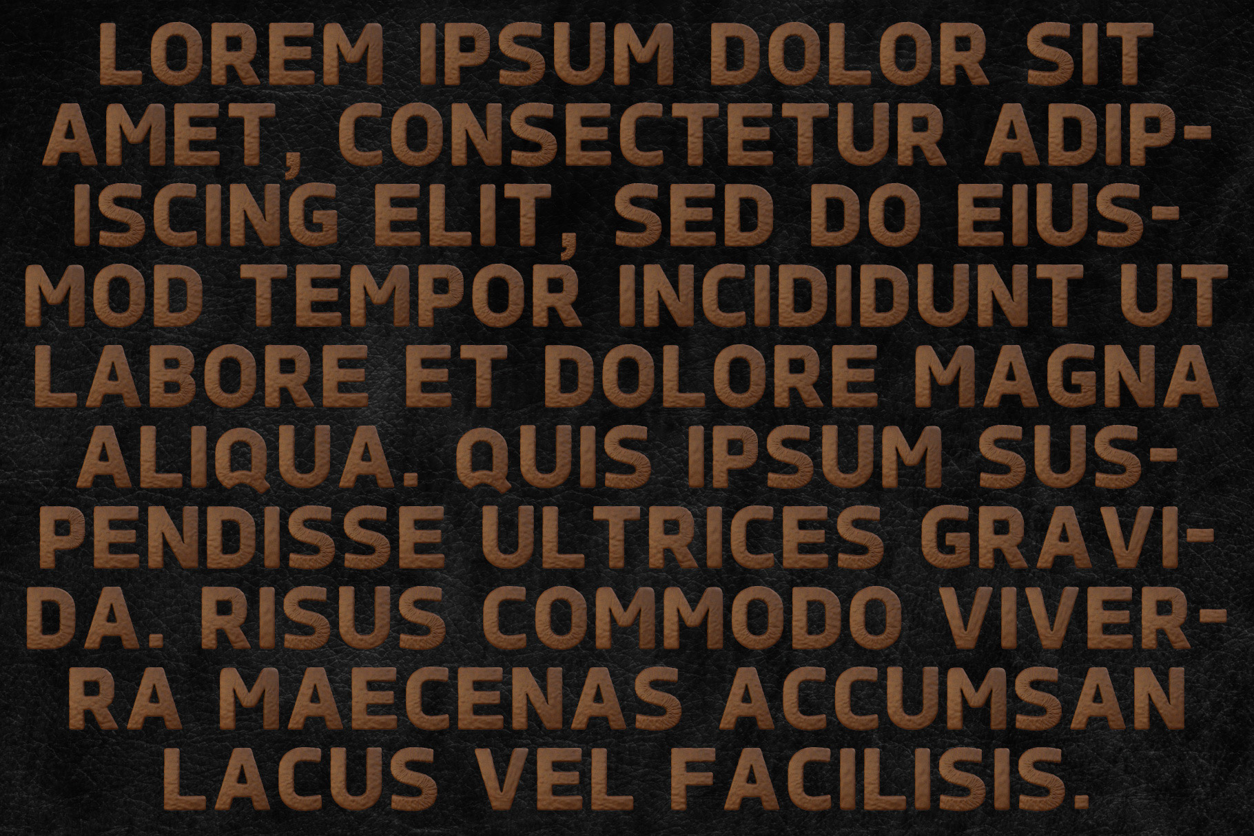Font MS Leather Design preview image.