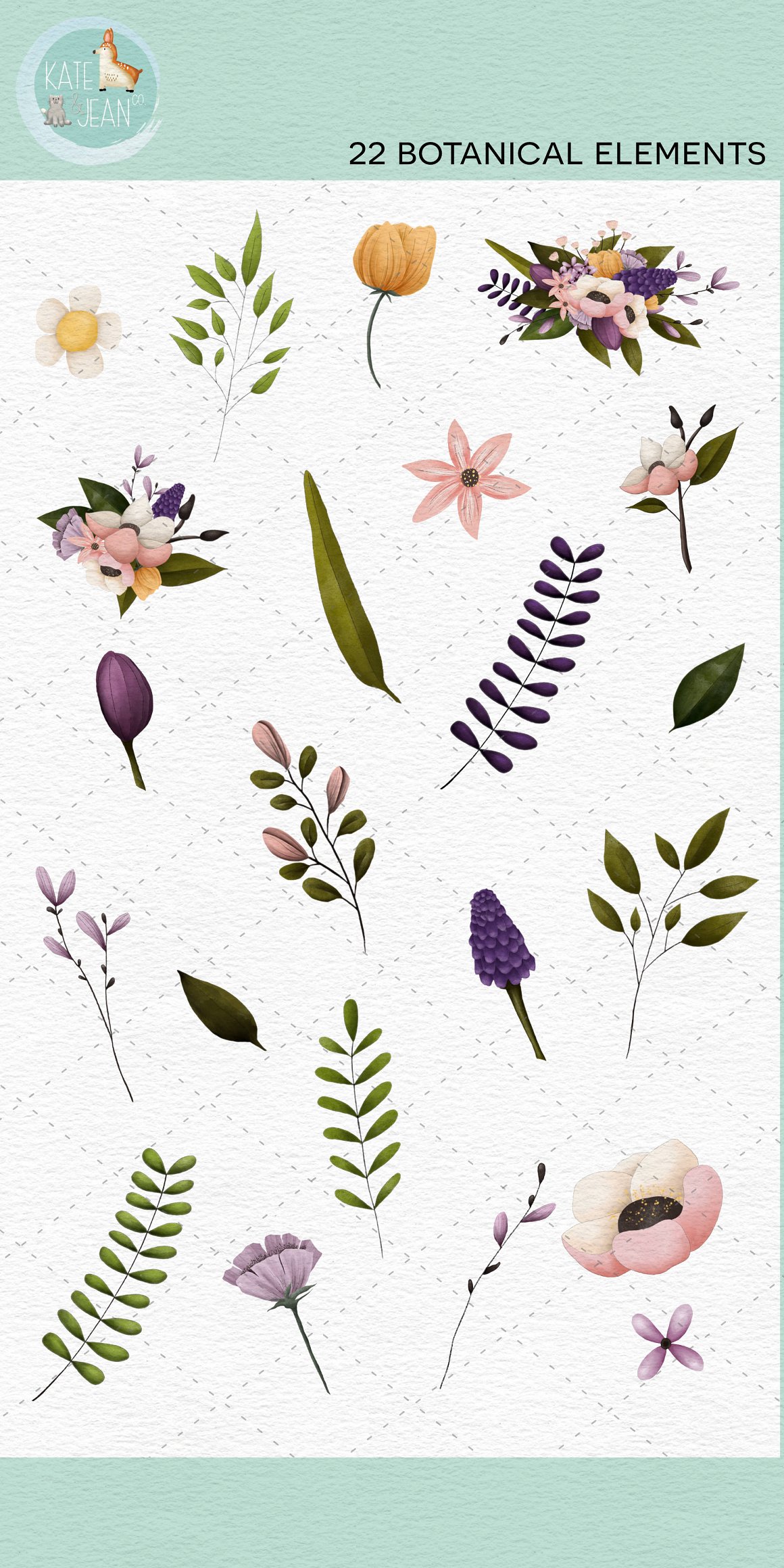 A set of 22 different botanical elements on a white background.