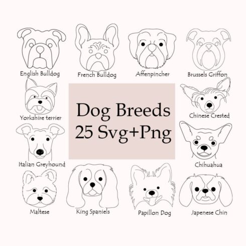 Cover image of Dog Breed SVG.