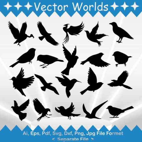 A selection of vector wonderful images of the silhouette of birds.