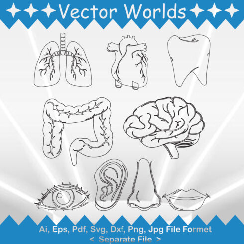 A selection of vector unique images of body parts.