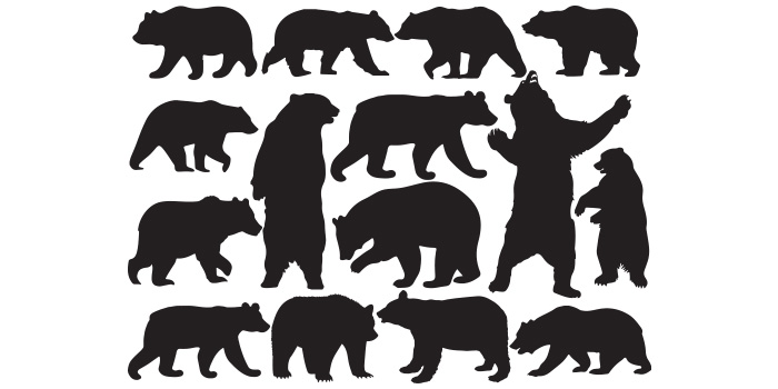 Bear and cub silhouettes on a white background.