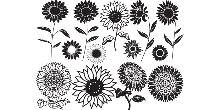 Pack of vector unique images of sunflower silhouettes.